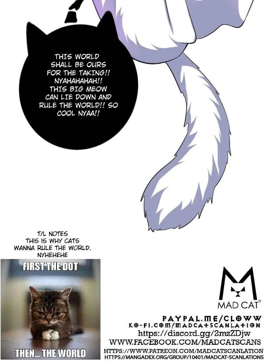 Cat System The Emperor is a Cat Lover Chapter 29 page 35 - 