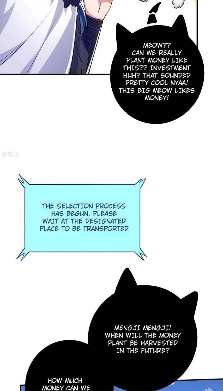 Cat System The Emperor is a Cat Lover Chapter 33 page 11 - 