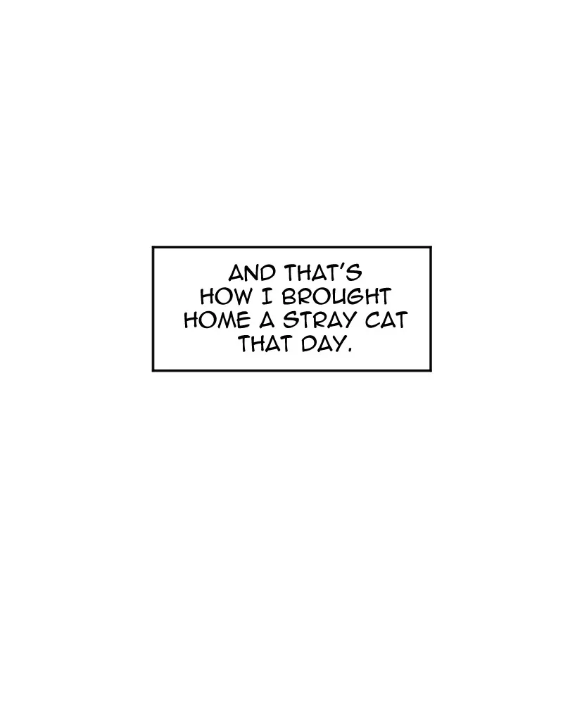 Cat vs. Dog Chapter 7 page 21 - 