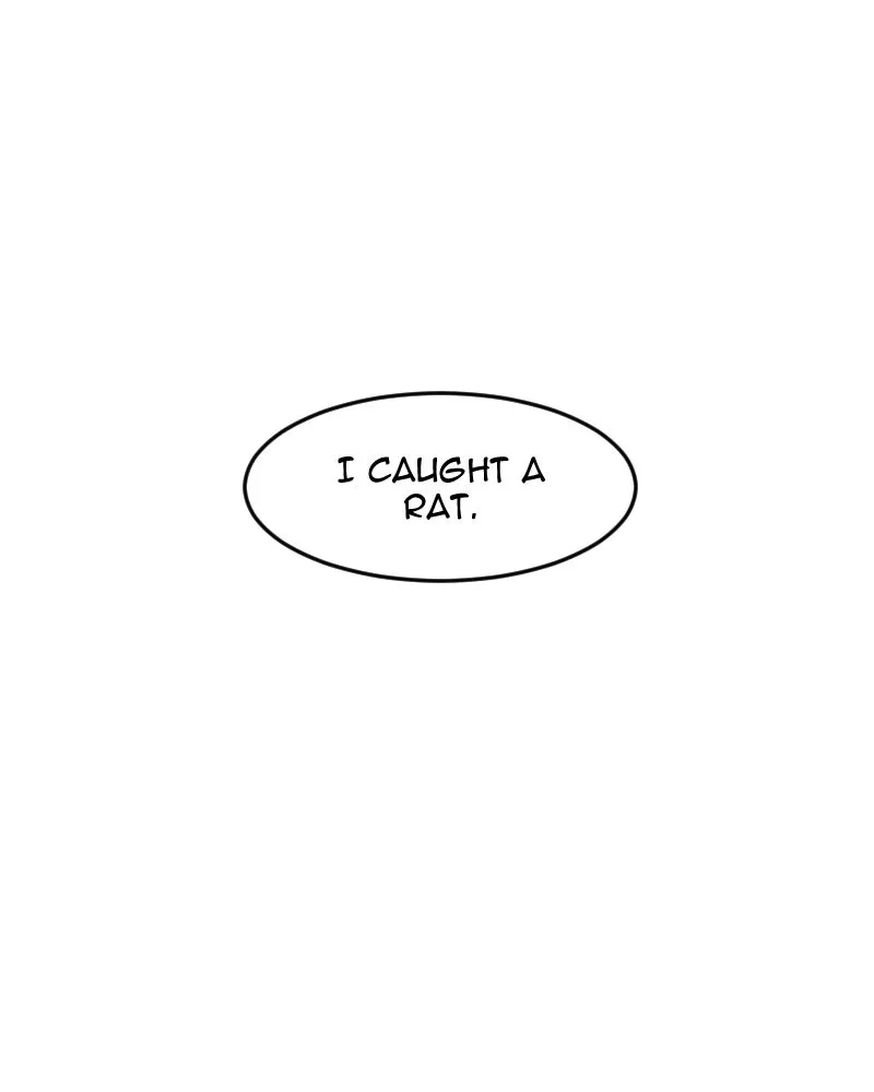 Cat vs. Dog Chapter 70 page 16 - 