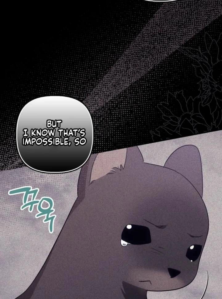 Catherine's Key to a Happy Life Chapter 104 page 61 - 