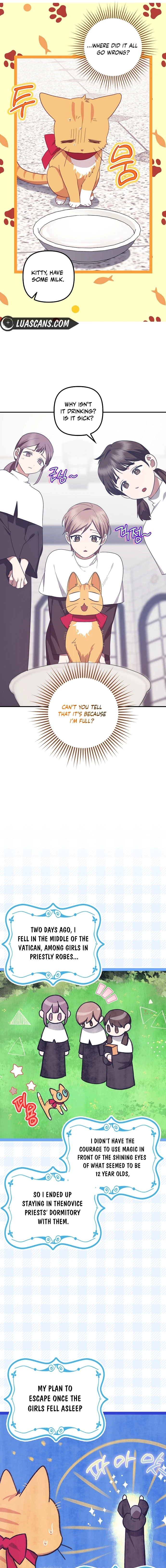 Catherine's Key to a Happy Life Chapter 62 page 13 - 