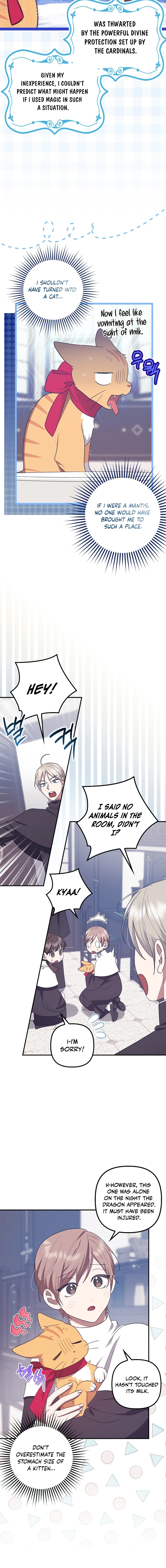 Catherine's Key to a Happy Life Chapter 62 page 14 - 