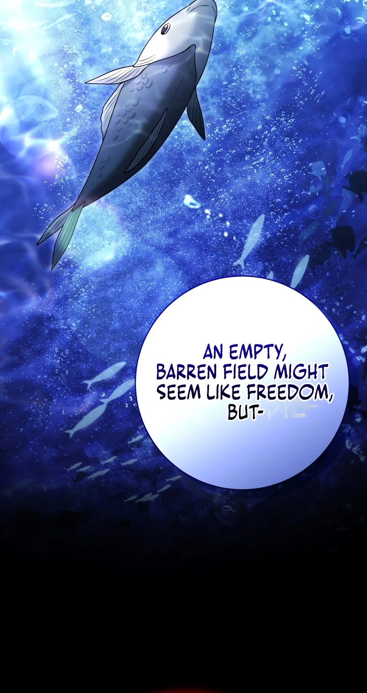 'Cause Calypso Can Chapter 125 page 65 - 