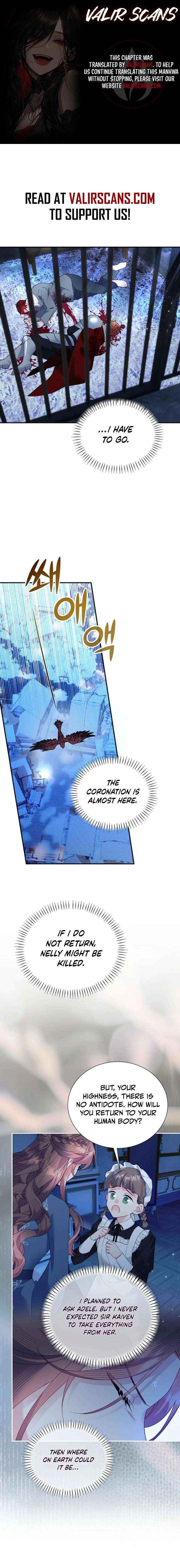 Cavier Falcon Princess Chapter 149 page 2 - 