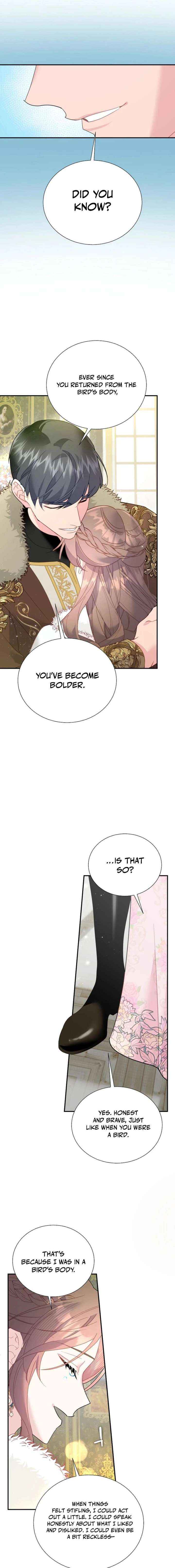 Cavier Falcon Princess Chapter 152 page 13 - 