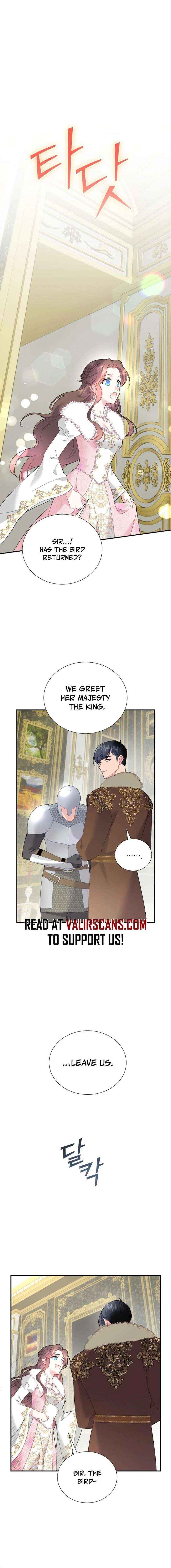 Cavier Falcon Princess Chapter 152 page 8 - 