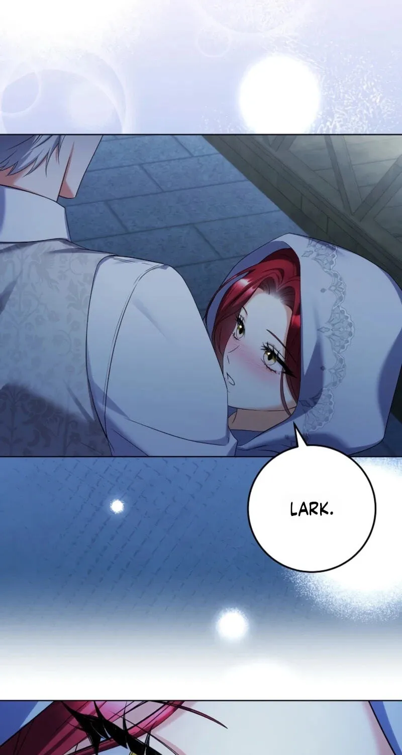Celeb Lady Chapter 85 page 25 - 
