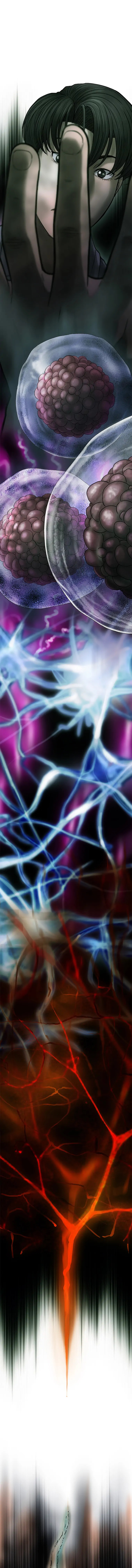 Cell Chapter 26 page 8 - 
