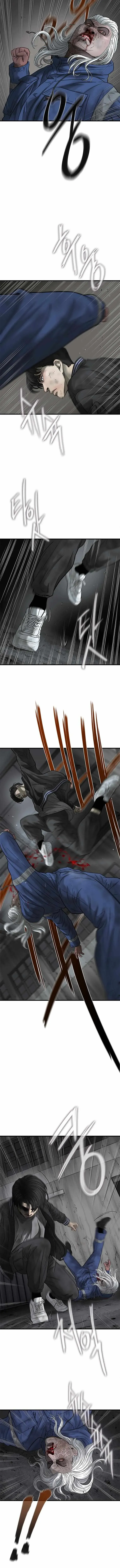 Cell Chapter 42 page 3 - 