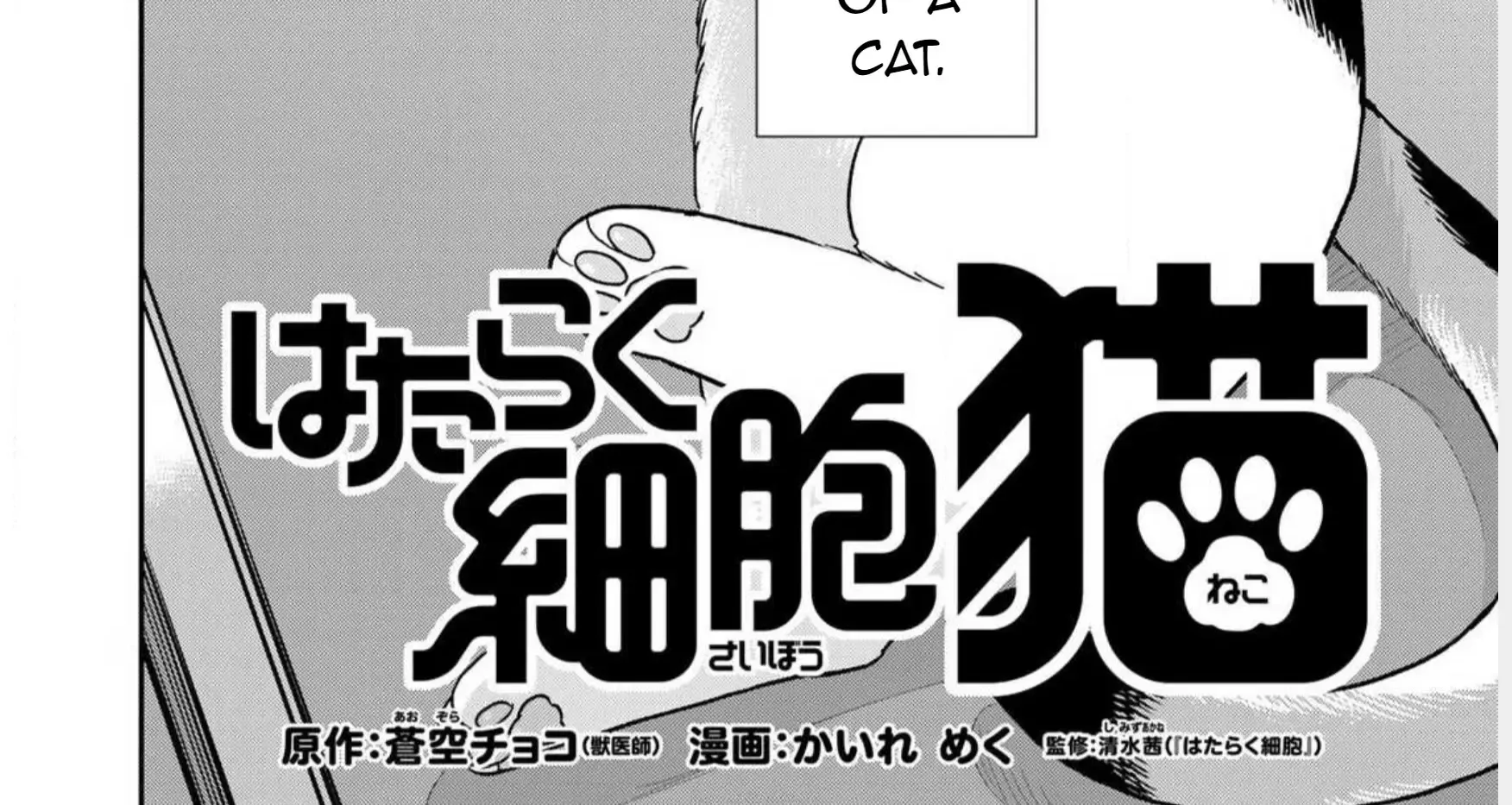 Cells at Work! Cat Chapter 1 page 12 - 
