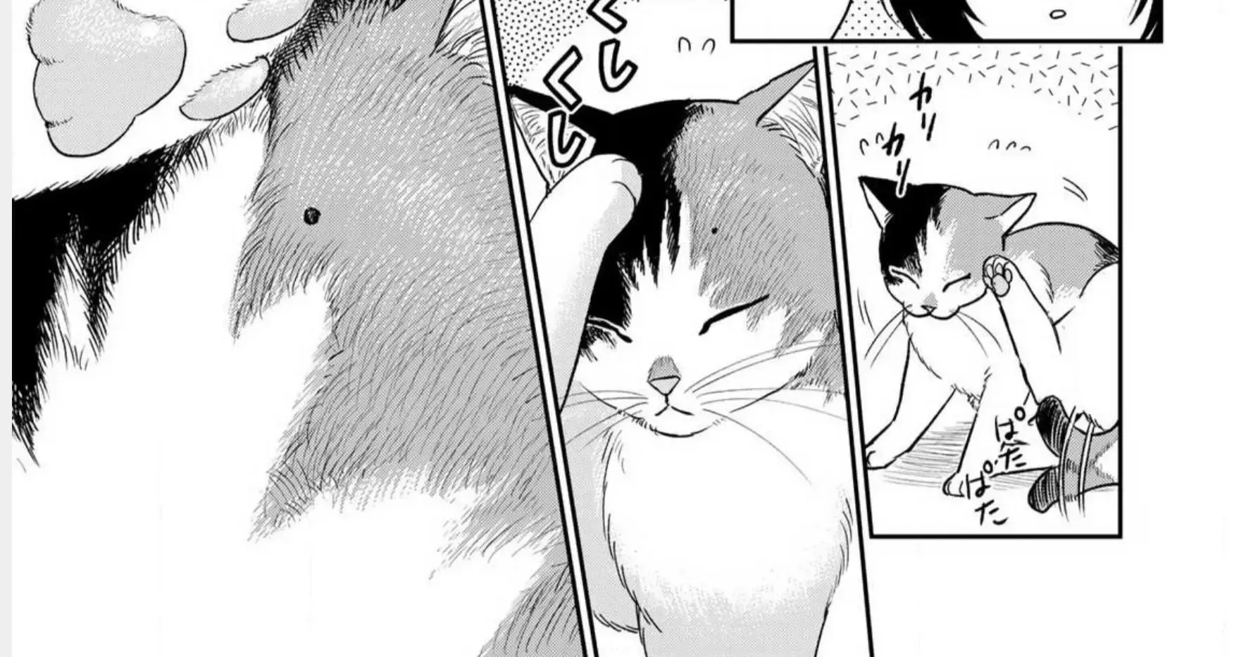 Cells at Work! Cat Chapter 1 page 18 - 