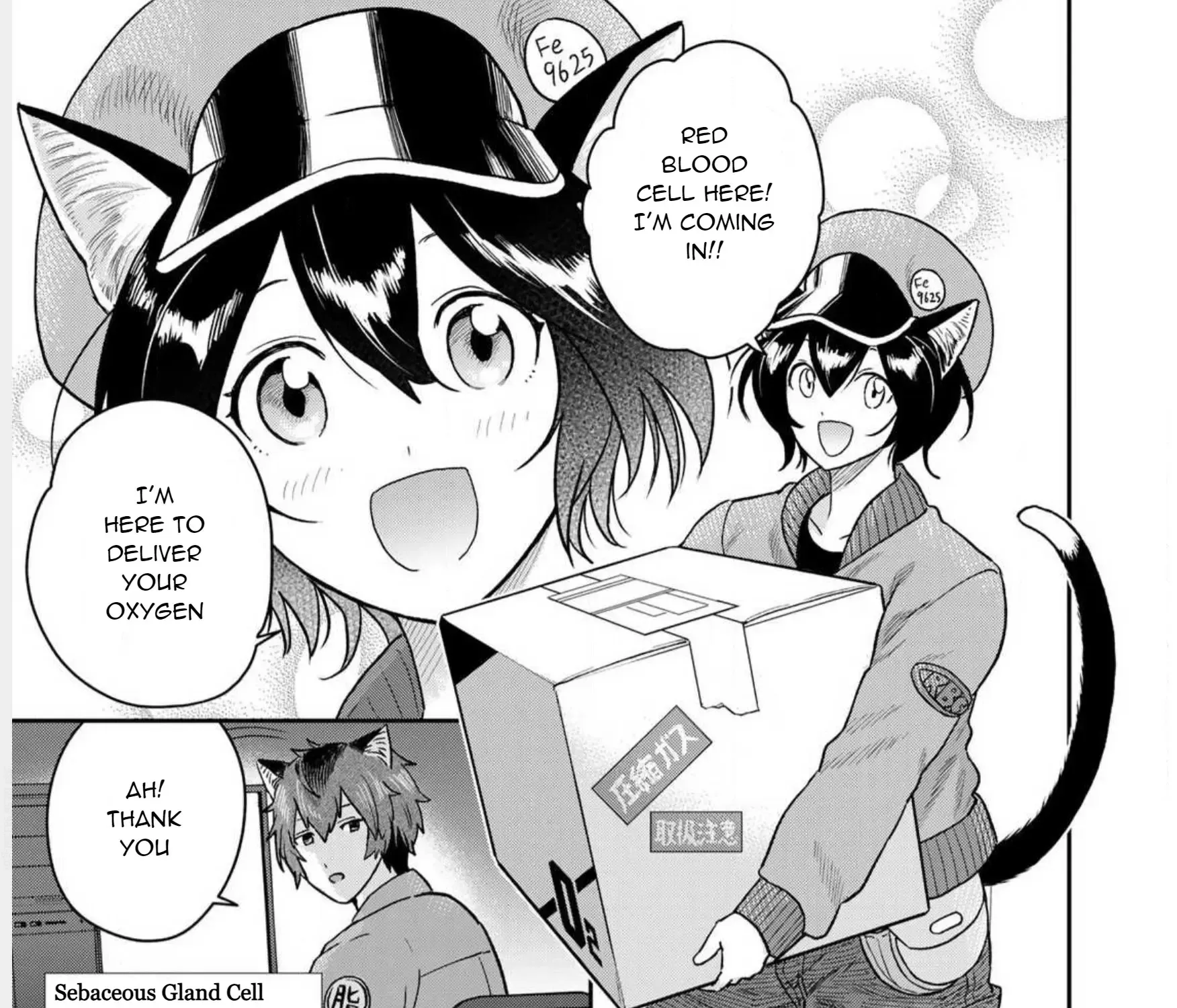 Cells at Work! Cat Chapter 1 page 21 - 