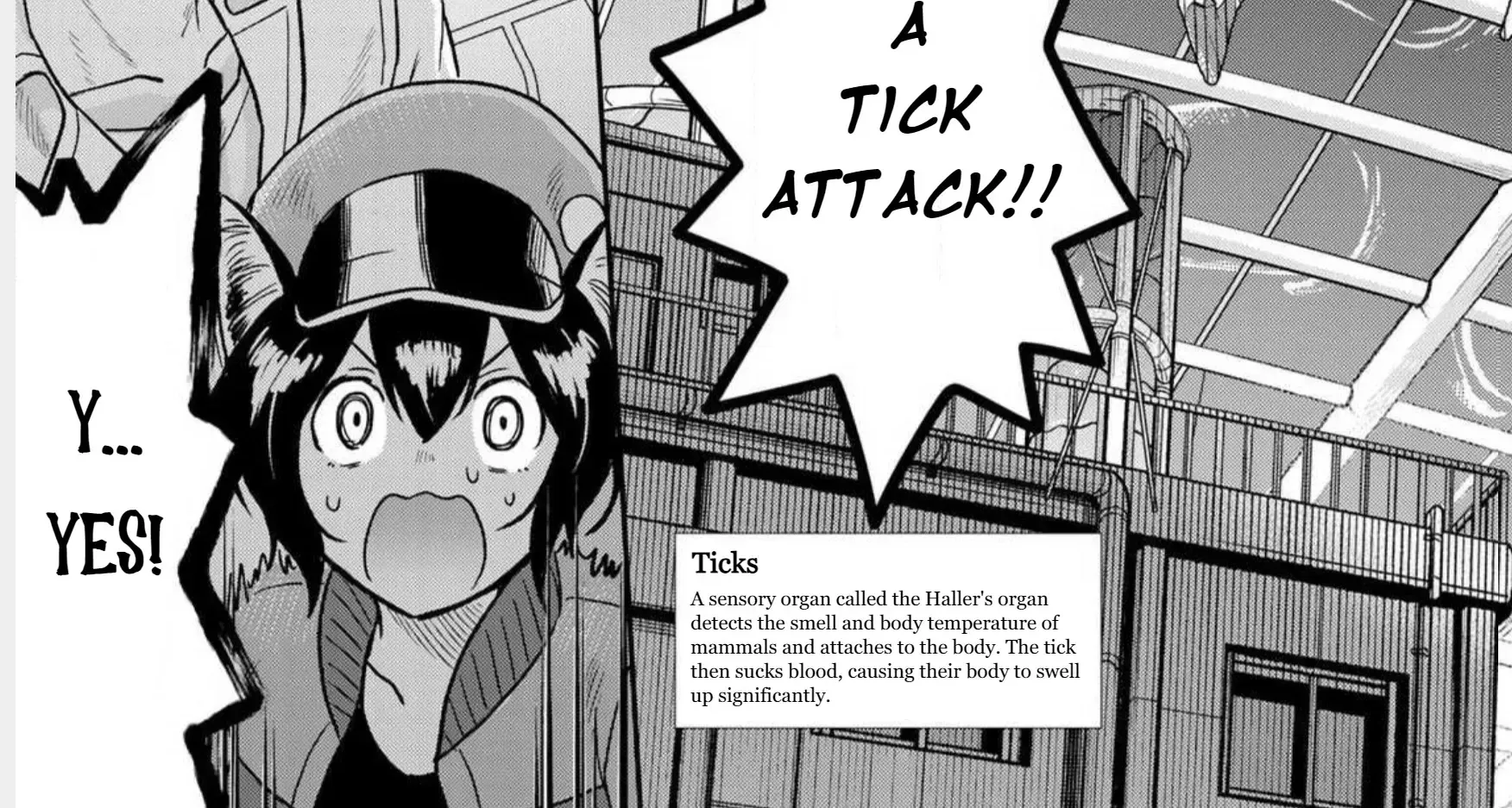 Cells at Work! Cat Chapter 1 page 46 - 