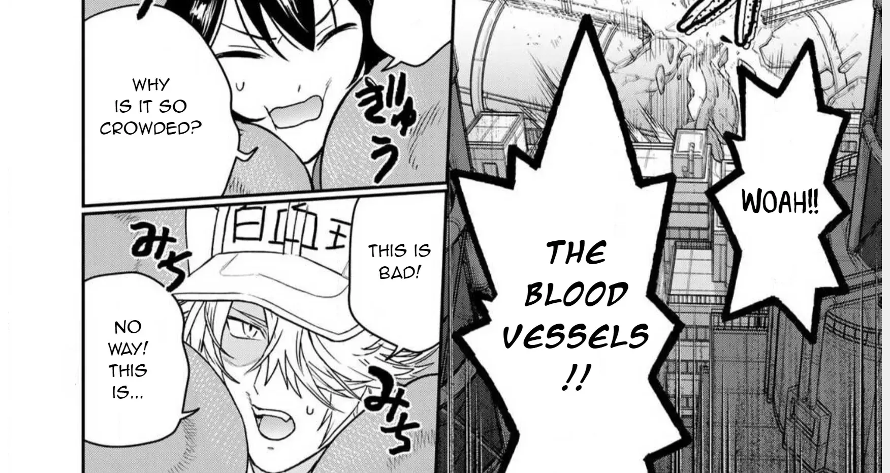 Cells at Work! Cat Chapter 1 page 48 - 