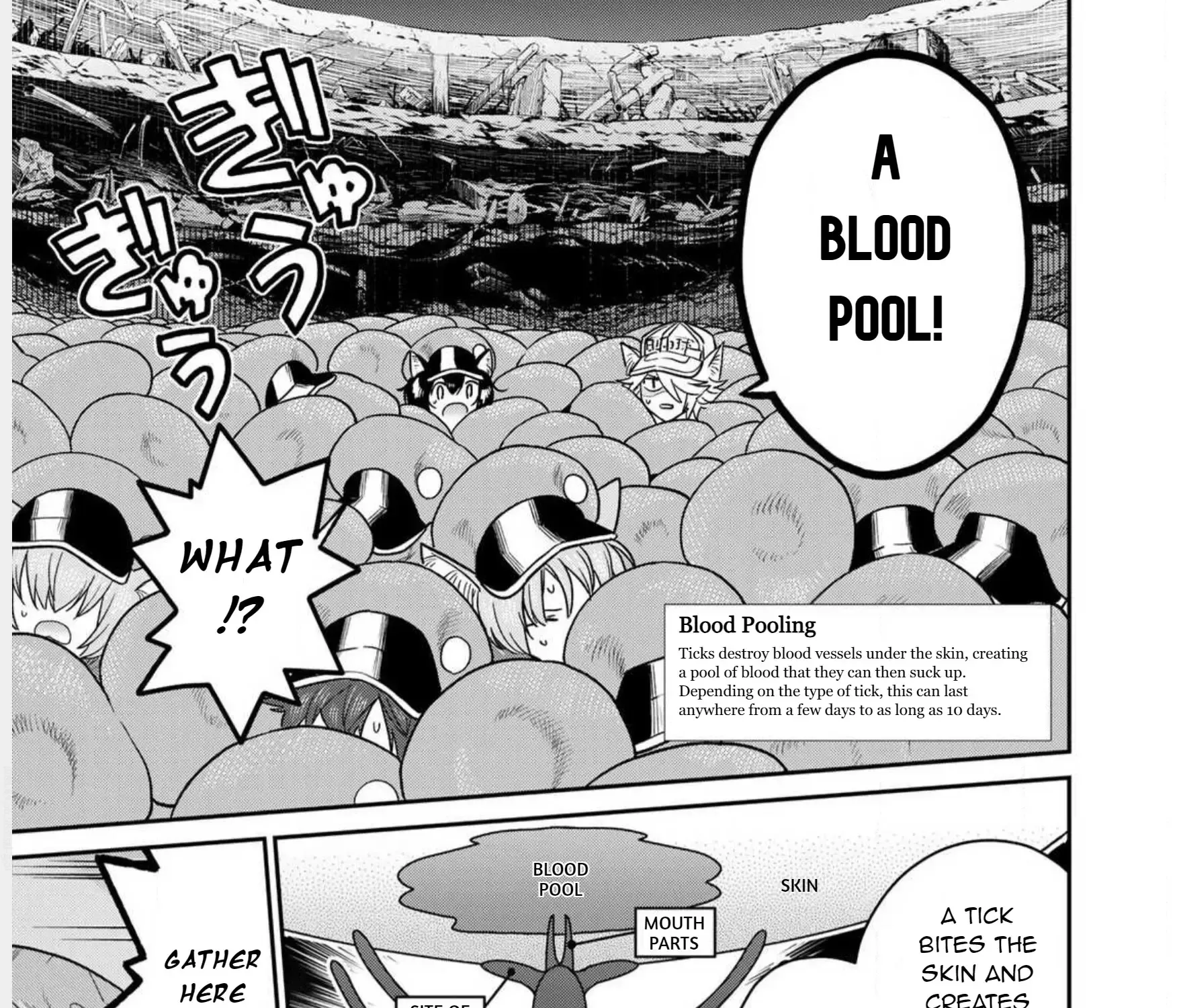 Cells at Work! Cat Chapter 1 page 49 - 