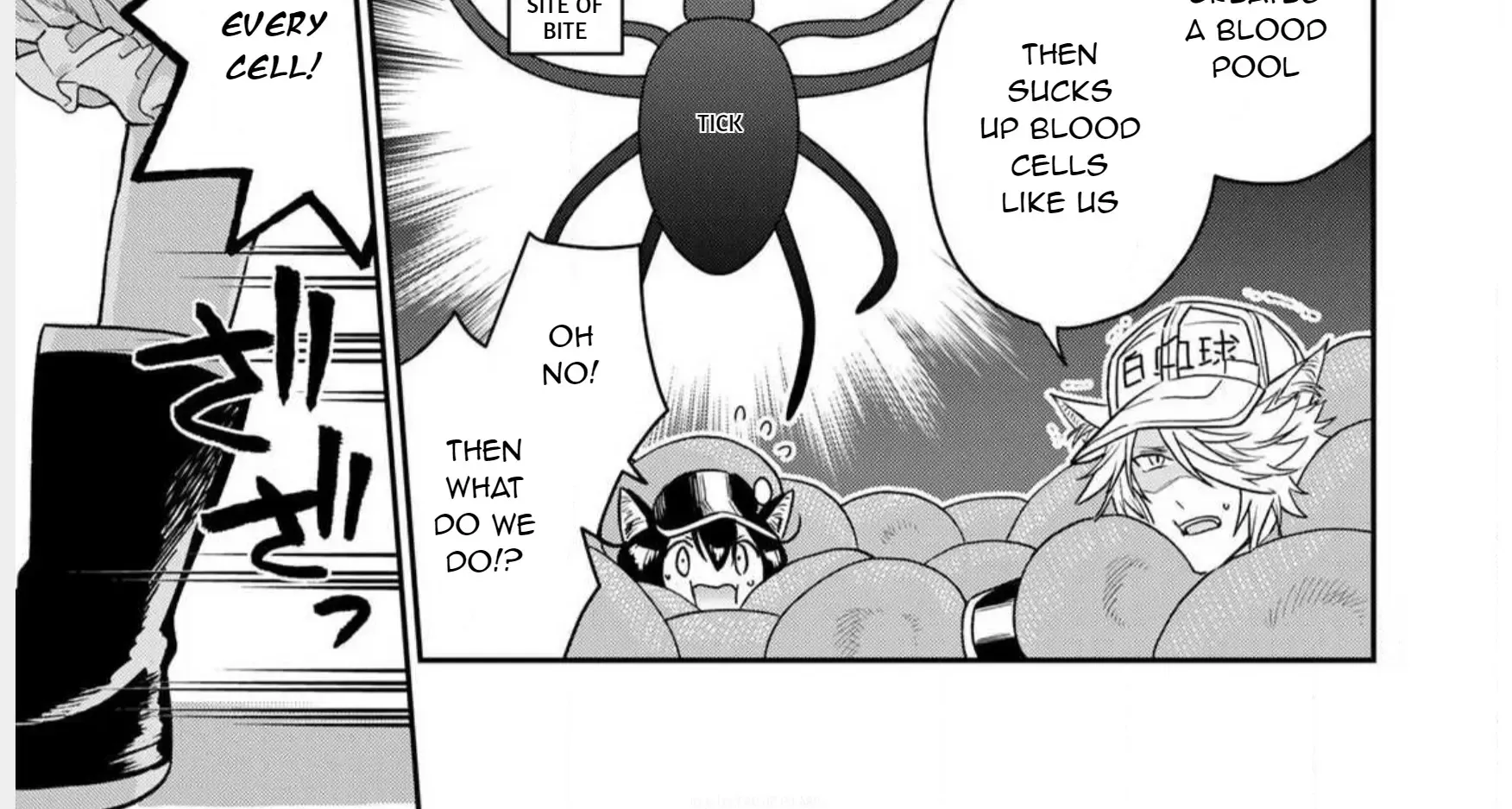 Cells at Work! Cat Chapter 1 page 50 - 