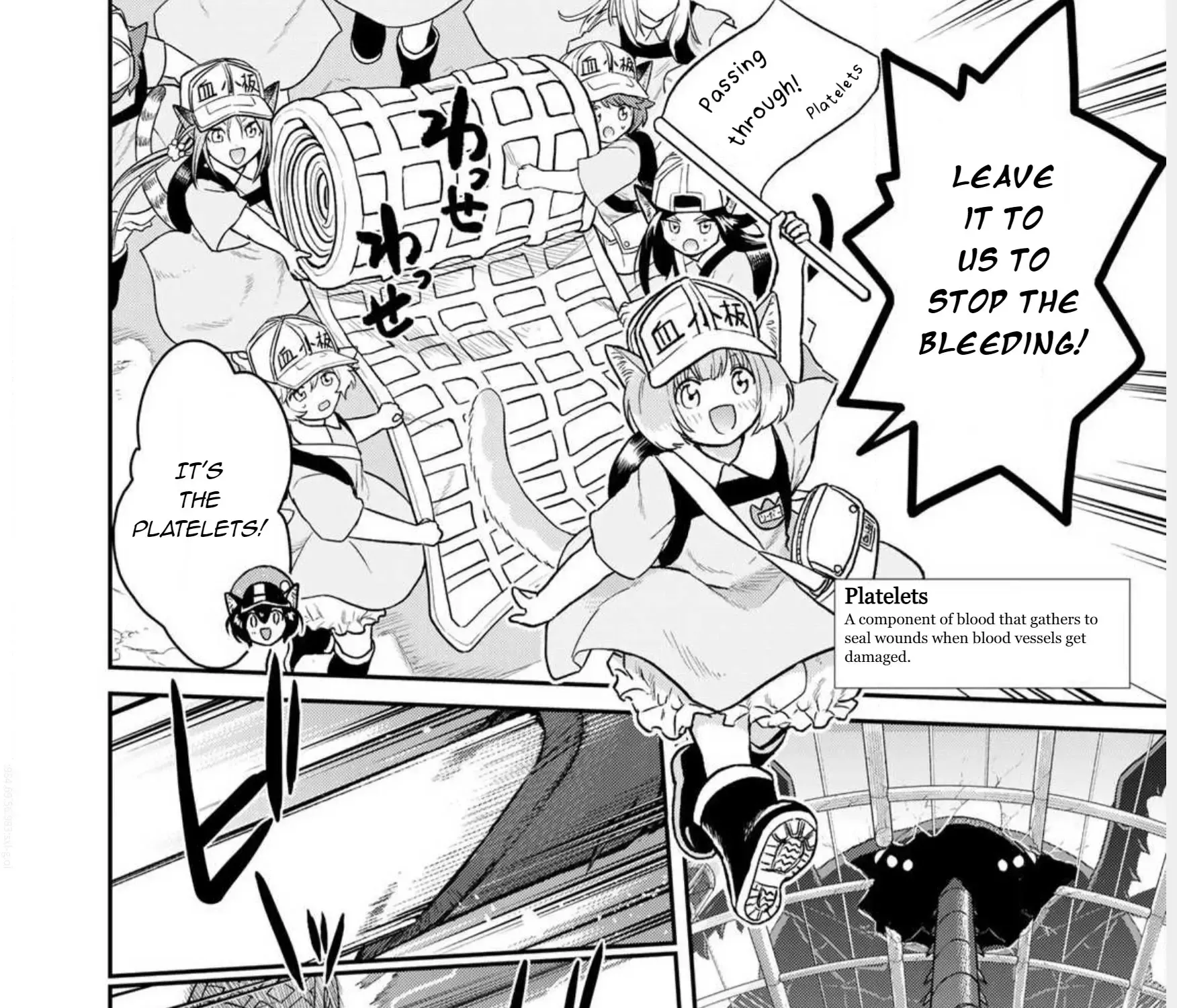 Cells at Work! Cat Chapter 1 page 51 - 