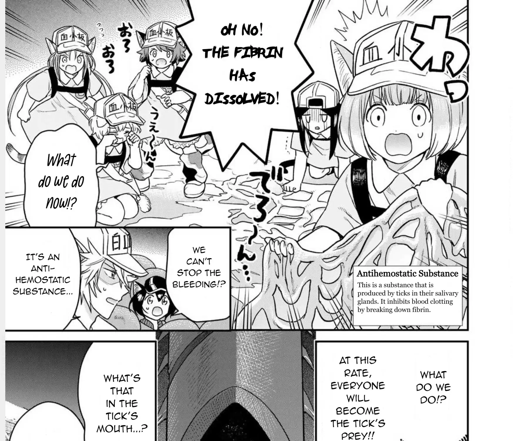 Cells at Work! Cat Chapter 1 page 53 - 