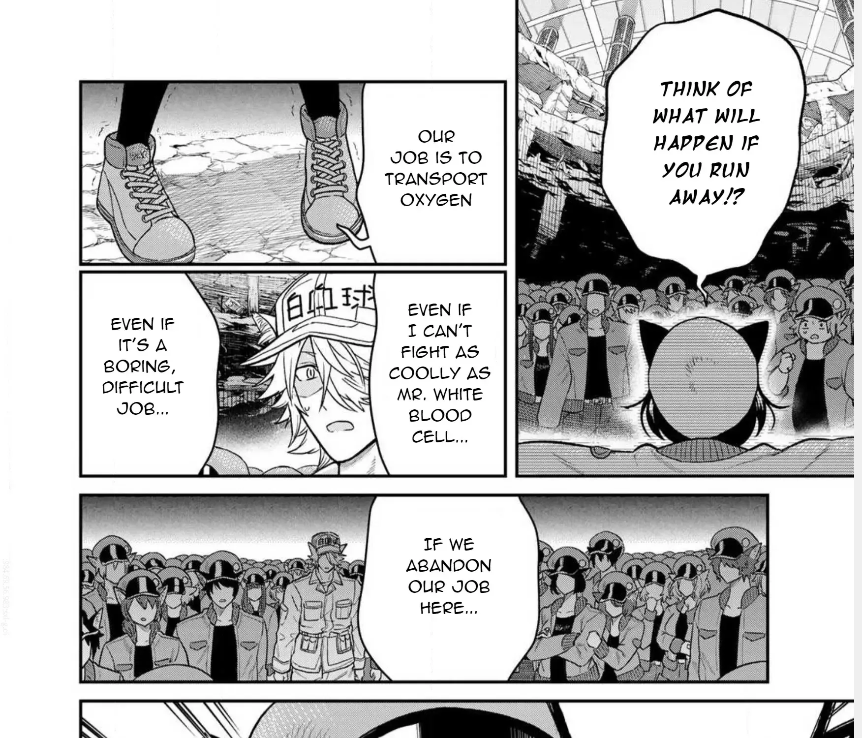 Cells at Work! Cat Chapter 1 page 59 - 