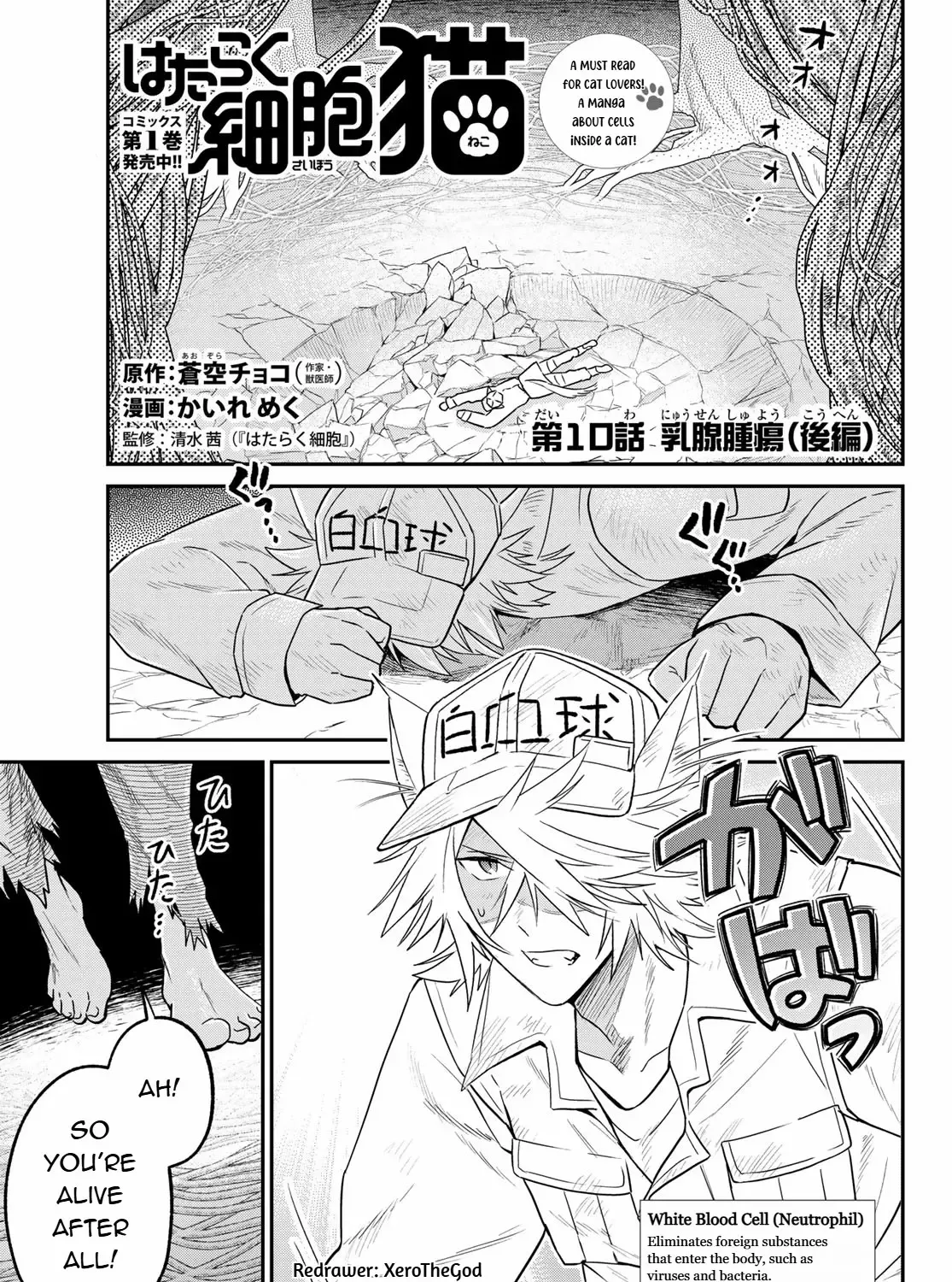 Cells at Work! Cat Chapter 10 page 1 - 