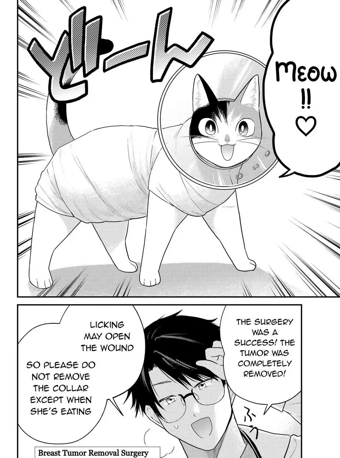 Cells at Work! Cat Chapter 10 page 47 - 