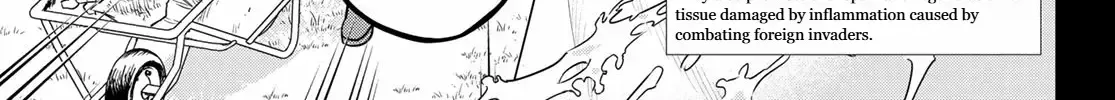Cells at Work! Cat Chapter 10 page 10 - 