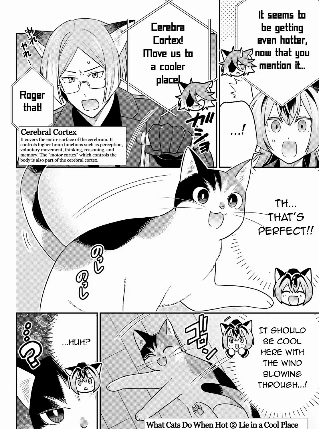 Cells at Work! Cat Chapter 11 page 19 - 