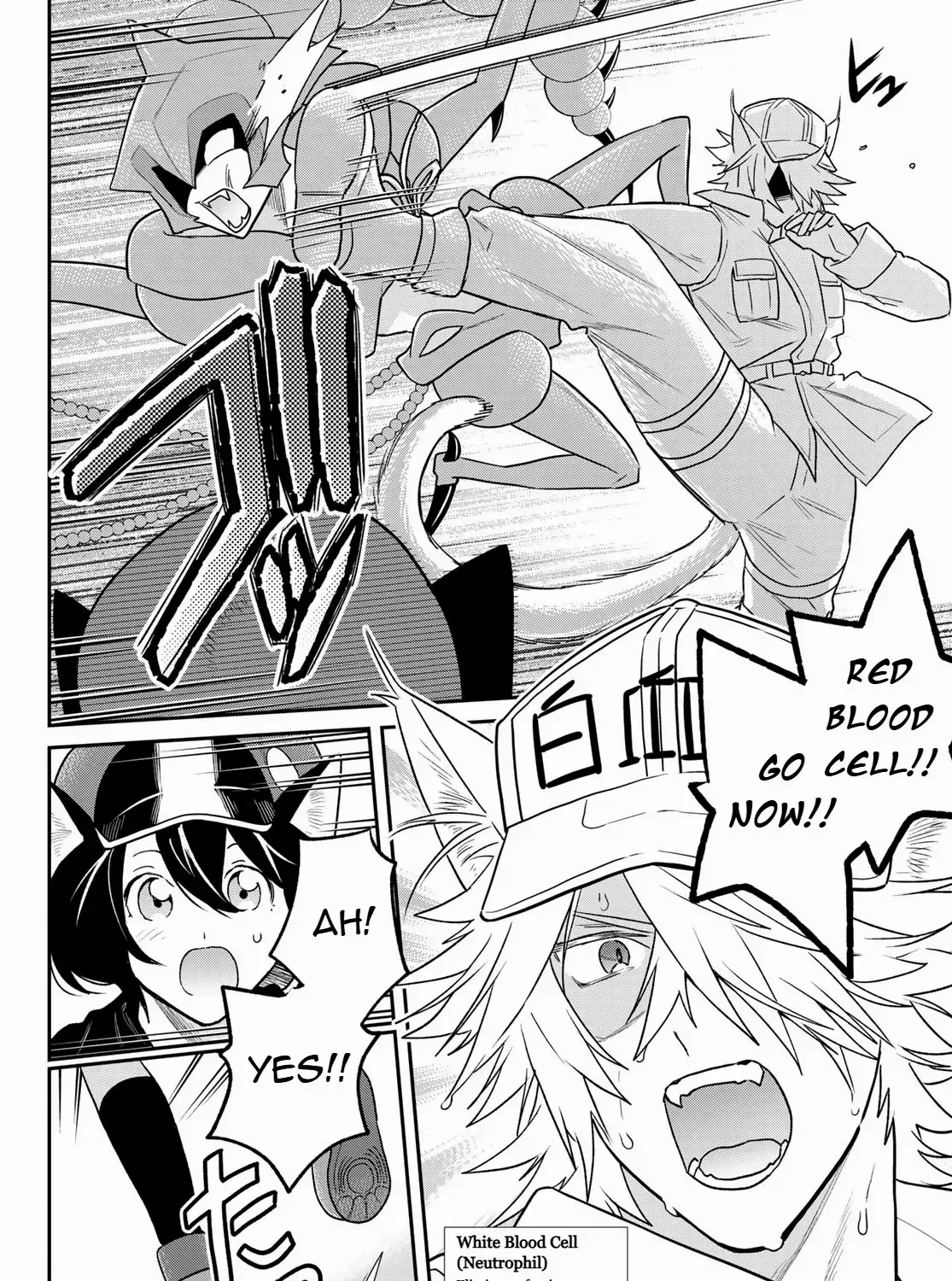 Cells at Work! Cat Chapter 11 page 47 - 