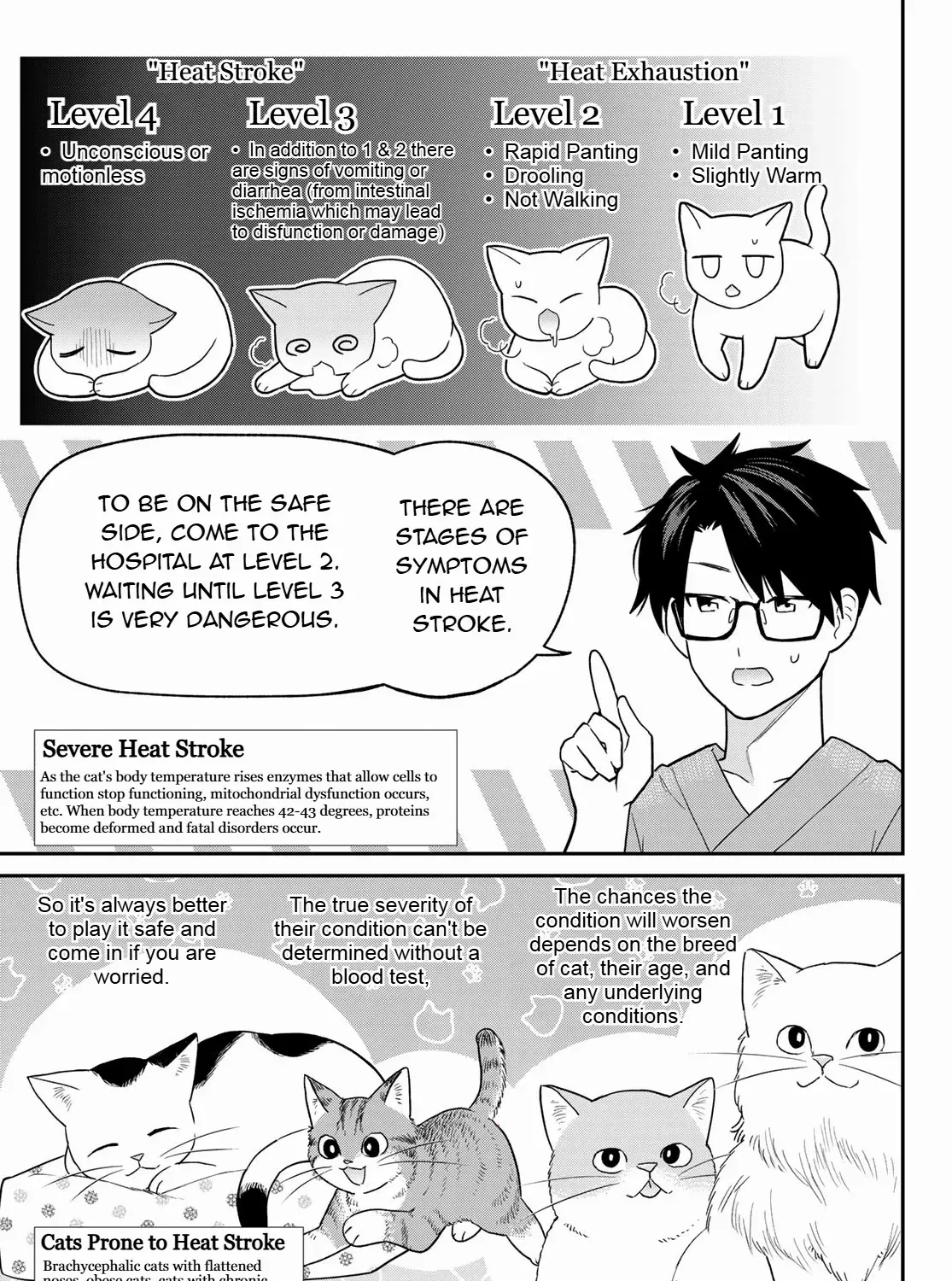 Cells at Work! Cat Chapter 11 page 53 - 