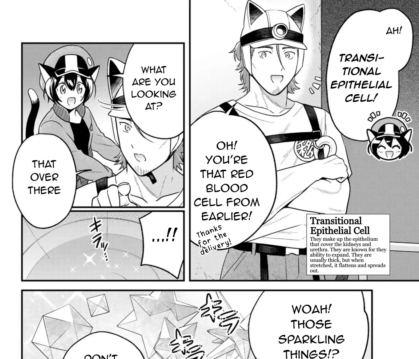 Cells at Work! Cat Chapter 12 page 12 - 