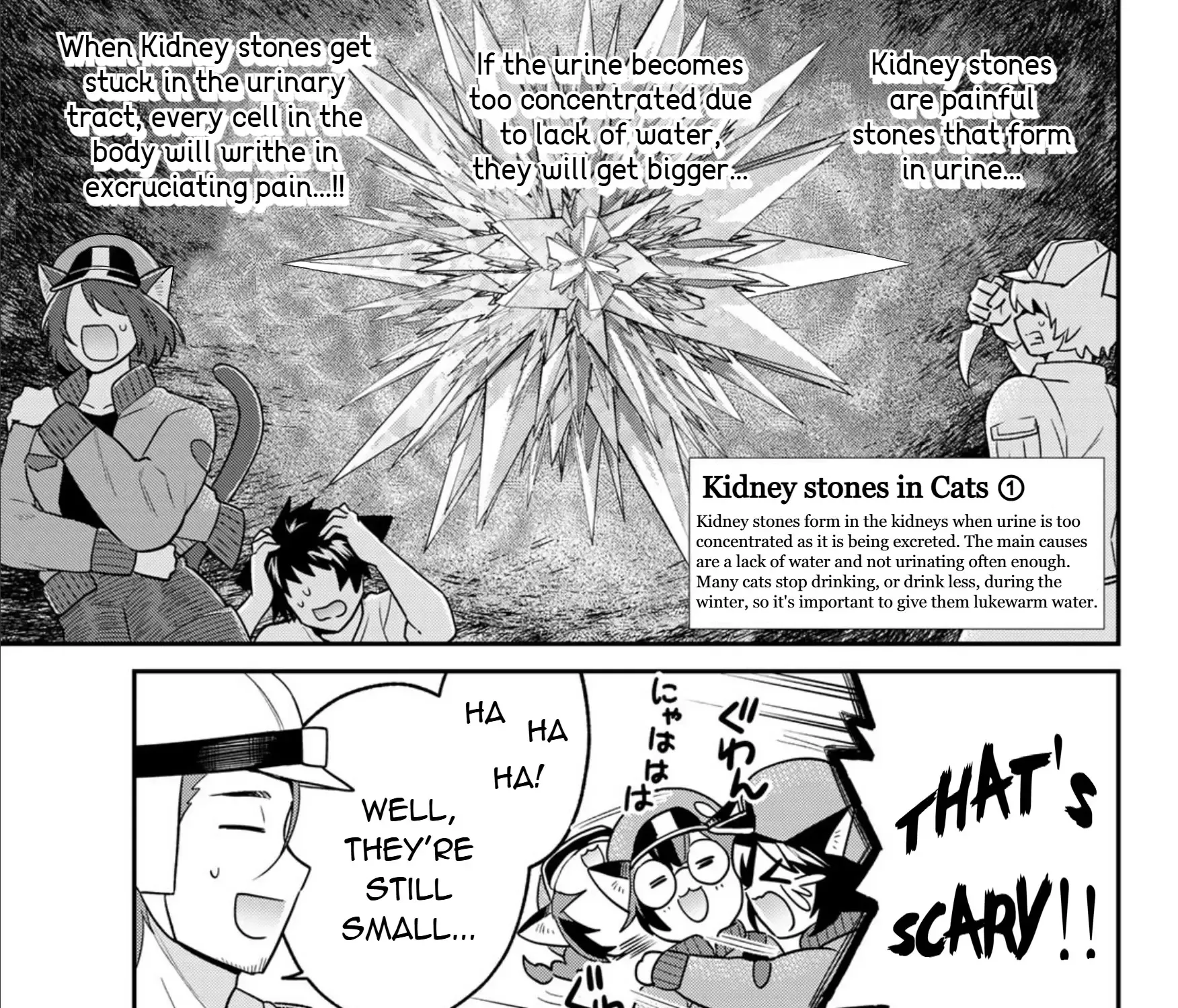 Cells at Work! Cat Chapter 12 page 14 - 