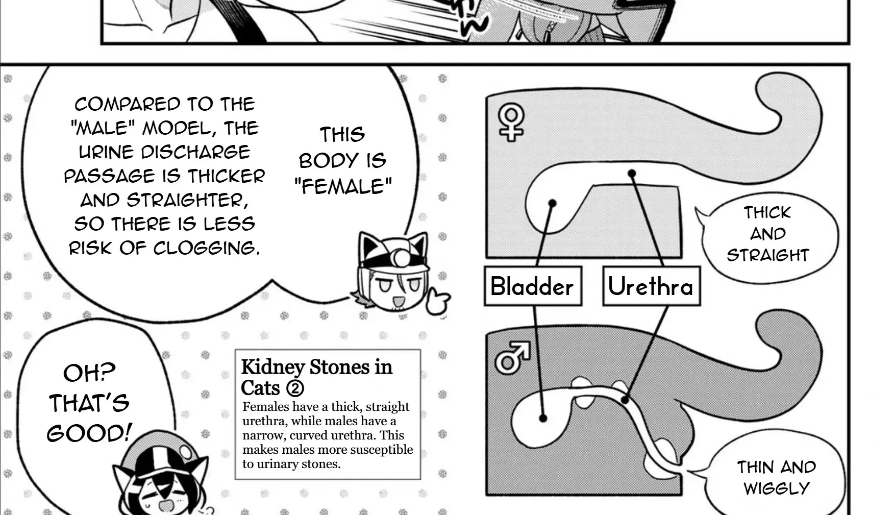 Cells at Work! Cat Chapter 12 page 15 - 