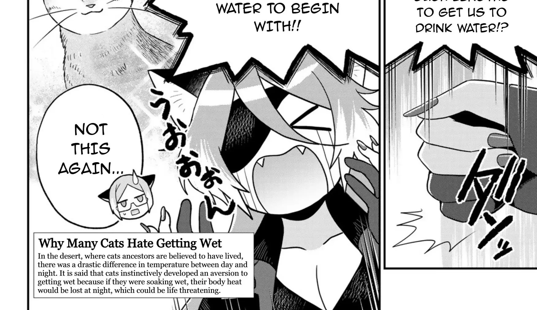 Cells at Work! Cat Chapter 12 page 37 - 