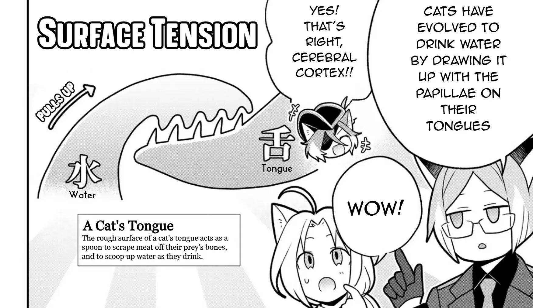 Cells at Work! Cat Chapter 12 page 49 - 
