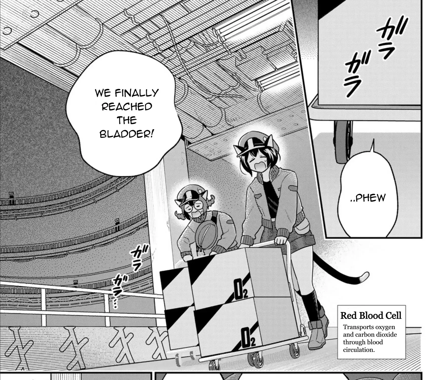 Cells at Work! Cat Chapter 12 page 10 - 