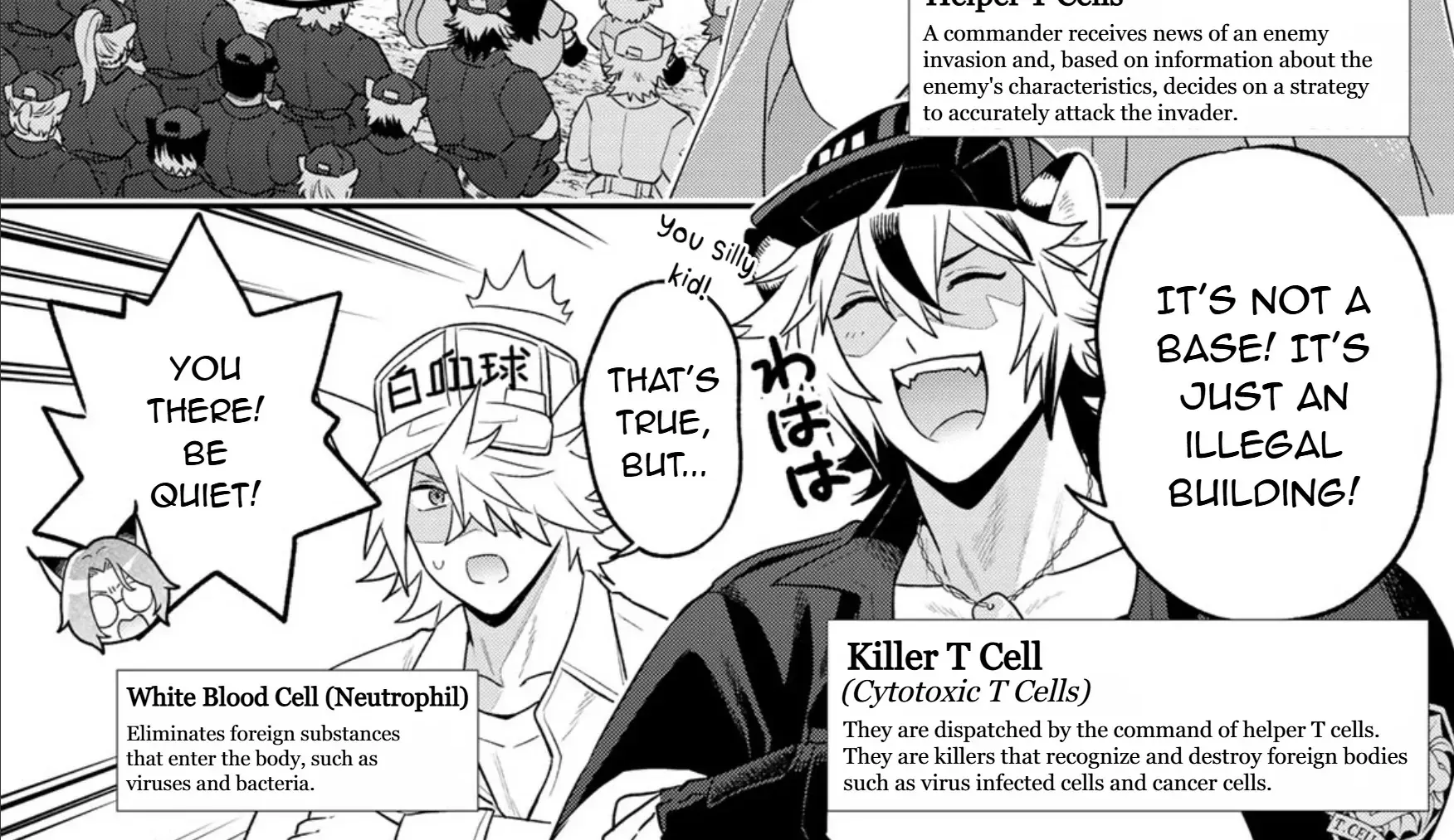 Cells at Work! Cat Chapter 13 page 15 - 