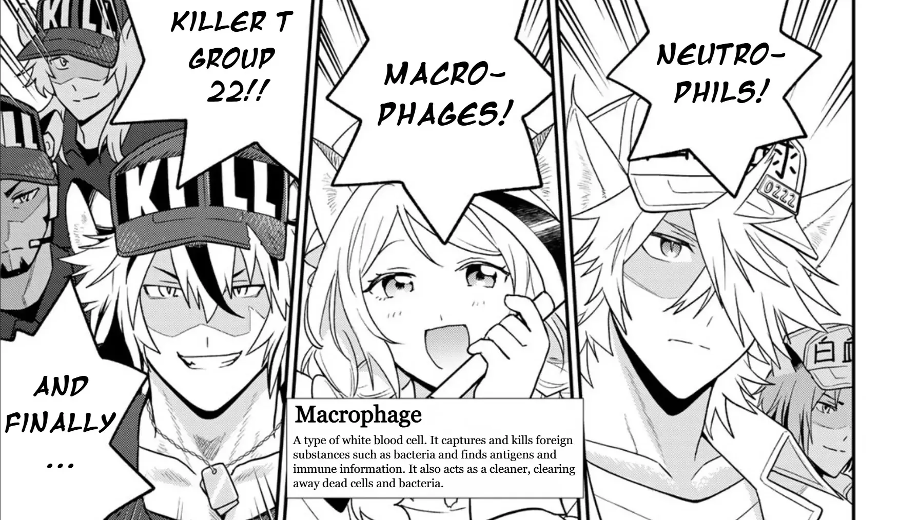 Cells at Work! Cat Chapter 13 page 23 - 