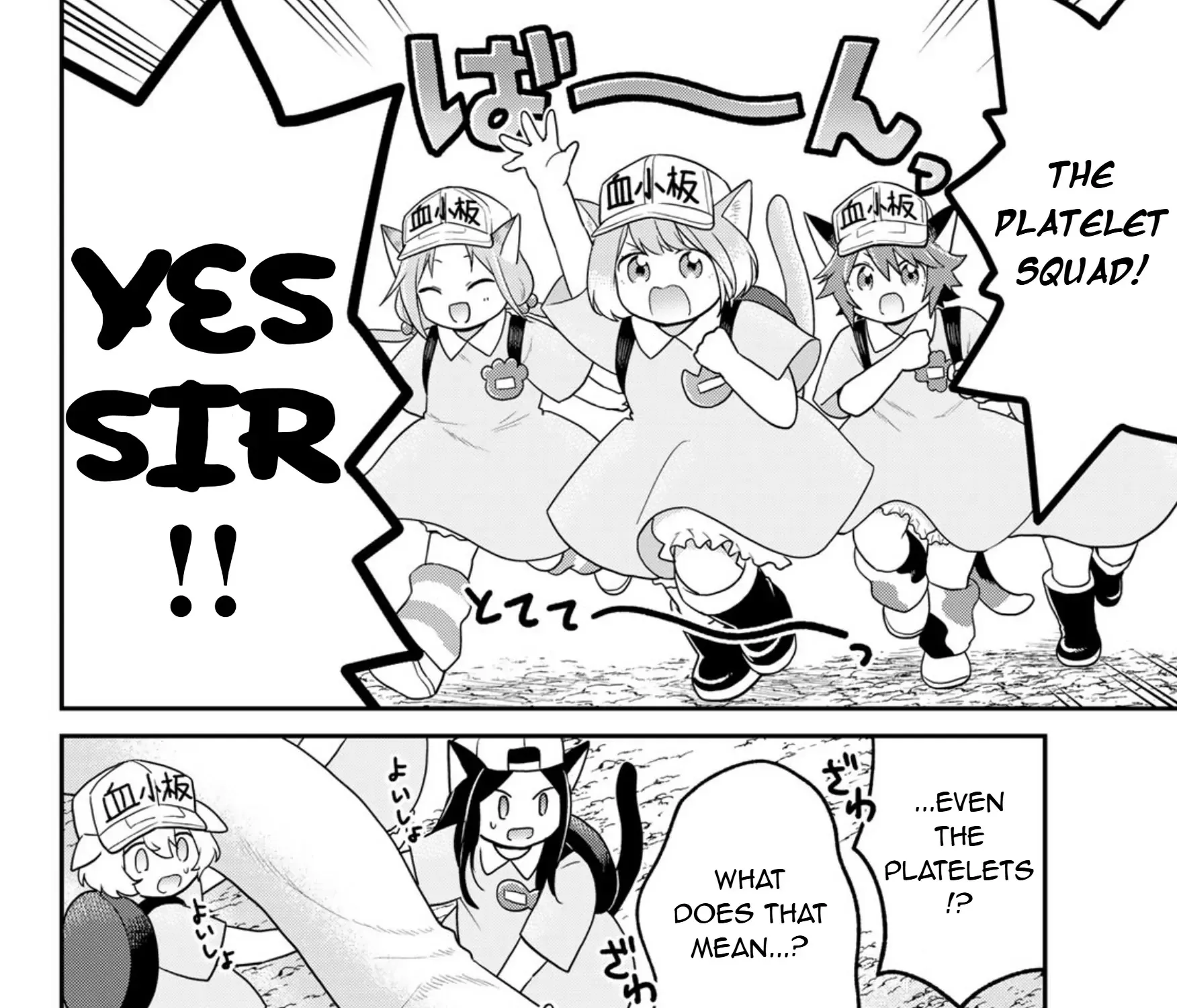Cells at Work! Cat Chapter 13 page 24 - 