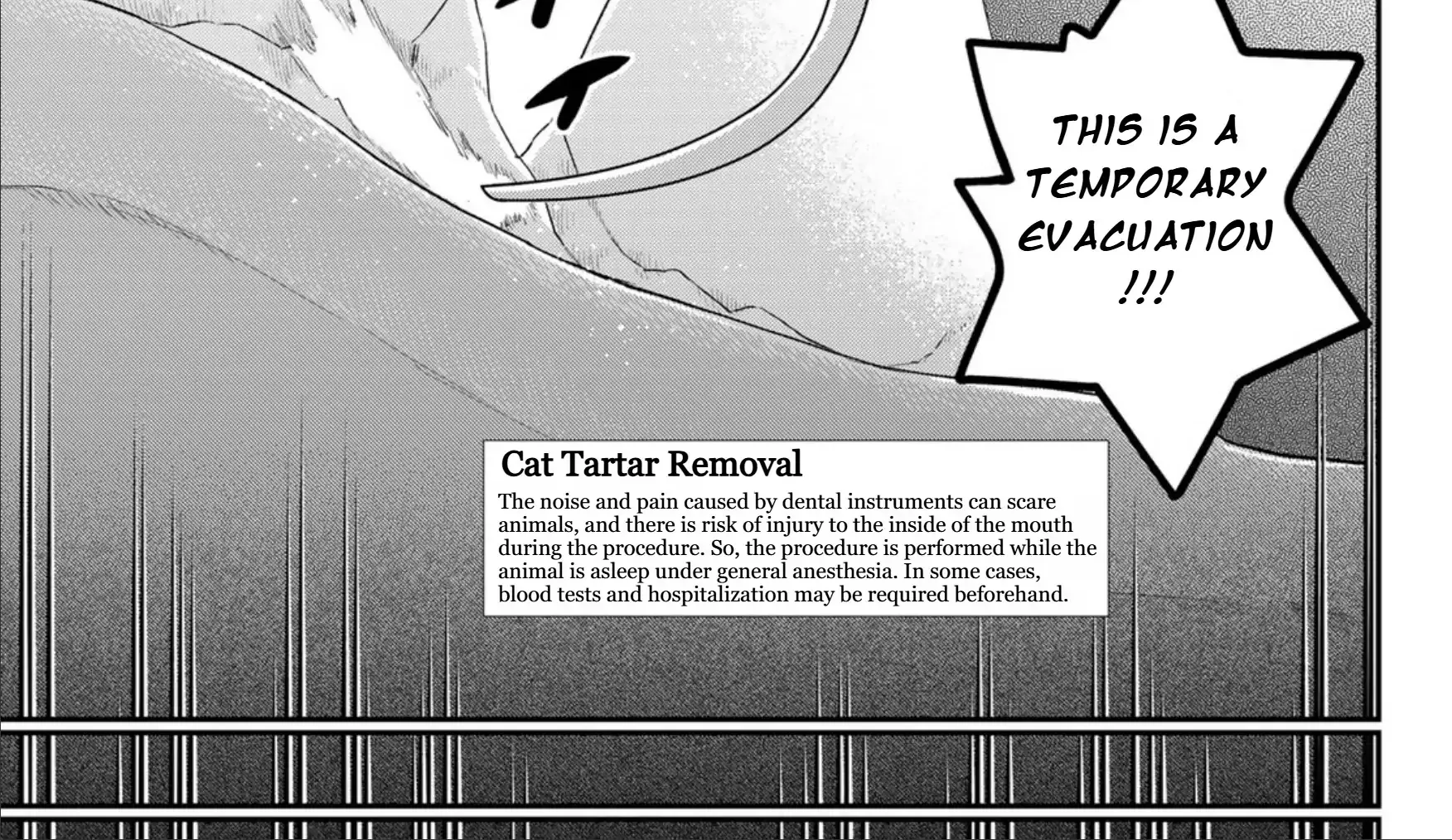 Cells at Work! Cat Chapter 13 page 43 - 