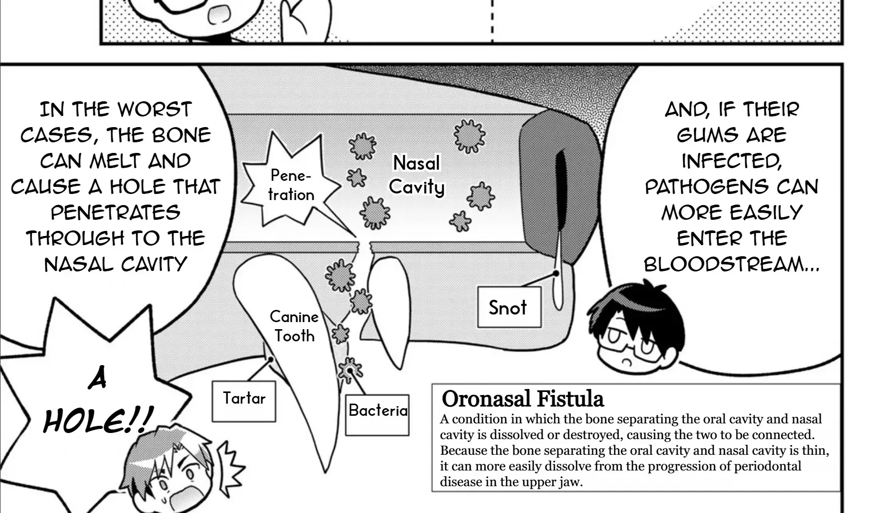 Cells at Work! Cat Chapter 13 page 47 - 