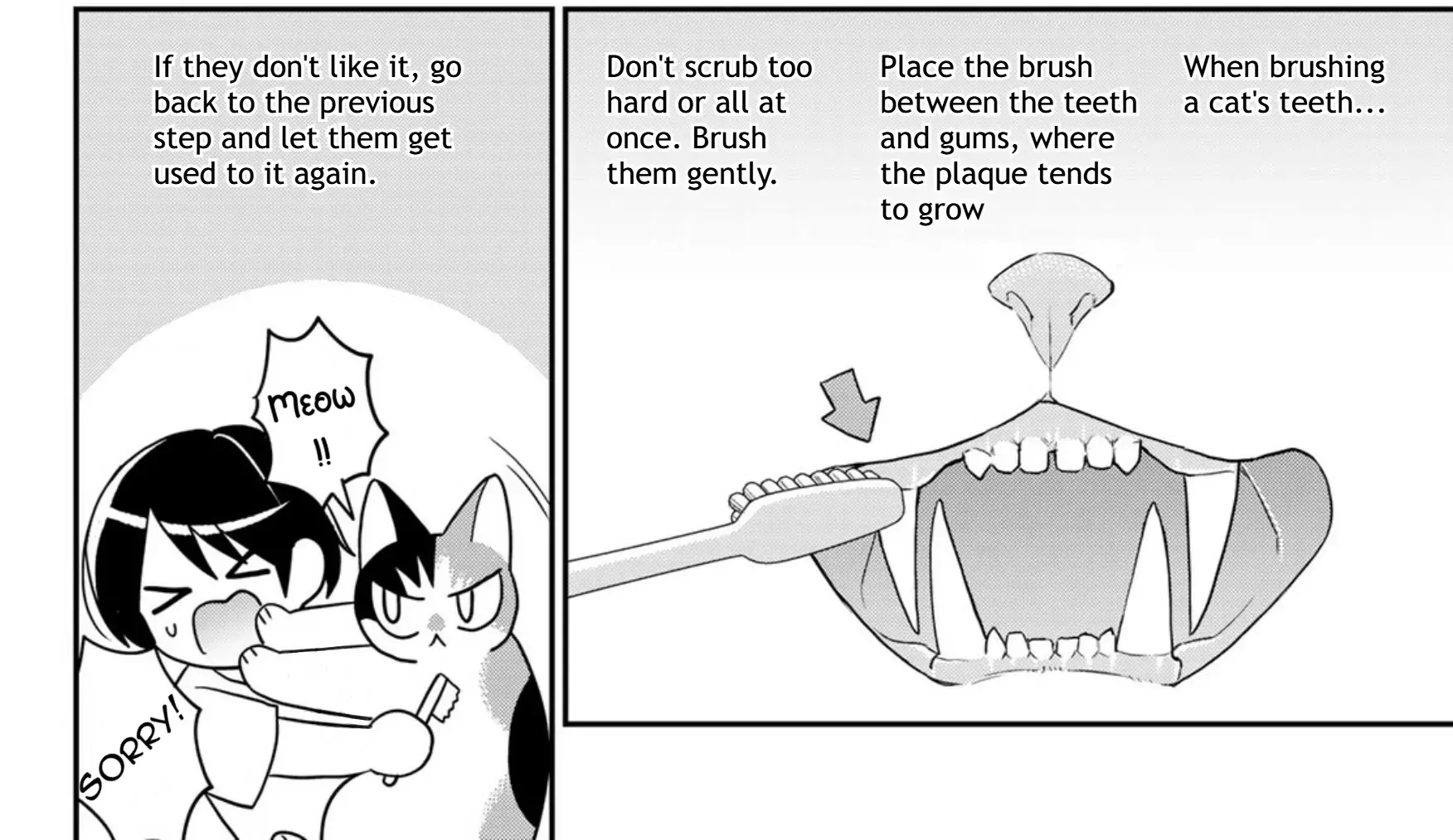 Cells at Work! Cat Chapter 13 page 49 - 