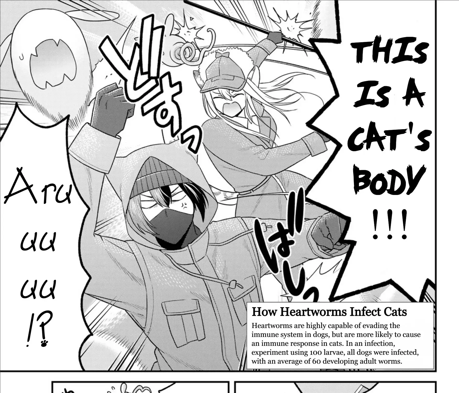 Cells at Work! Cat Chapter 14 page 29 - 