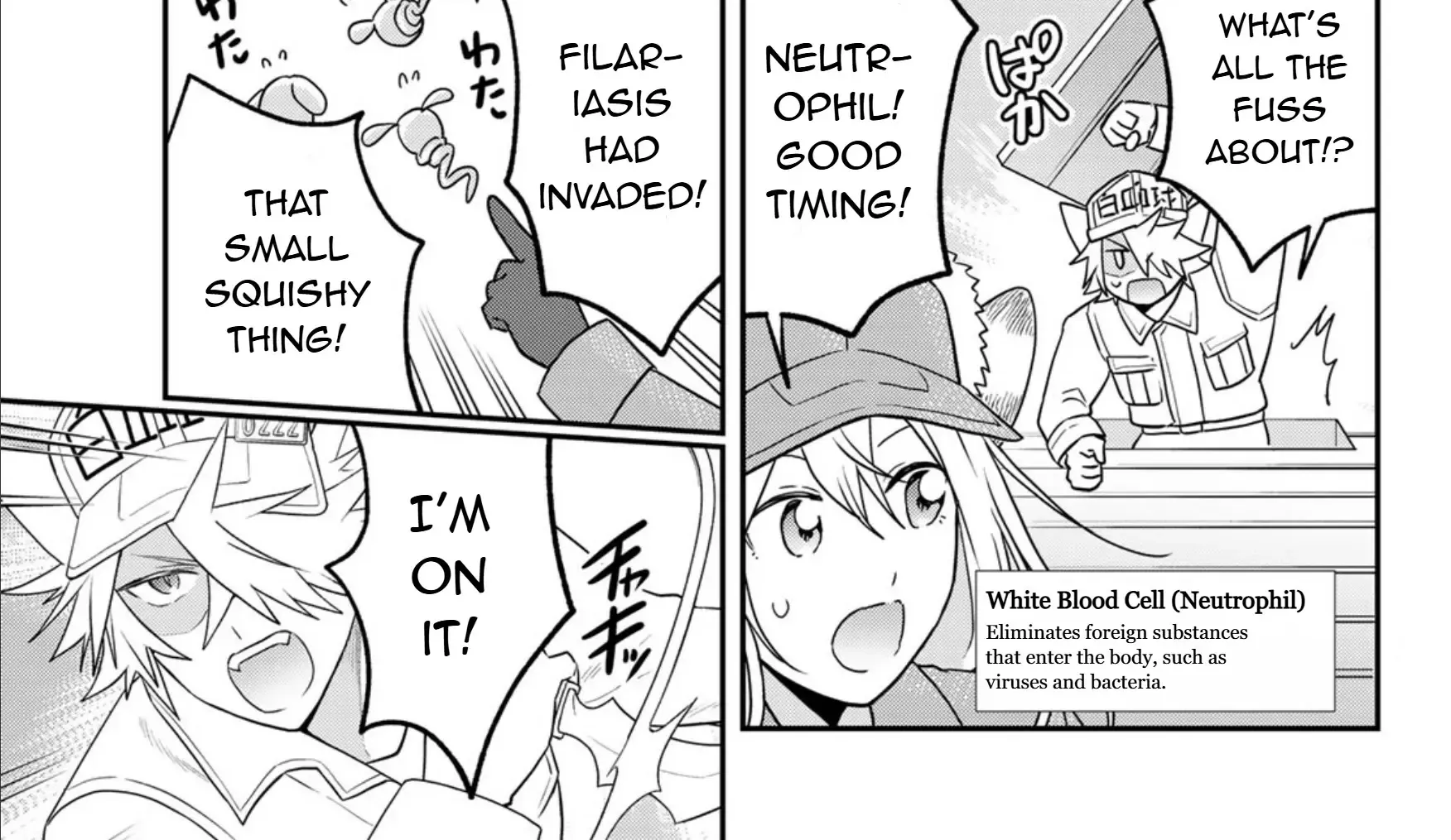 Cells at Work! Cat Chapter 14 page 30 - 
