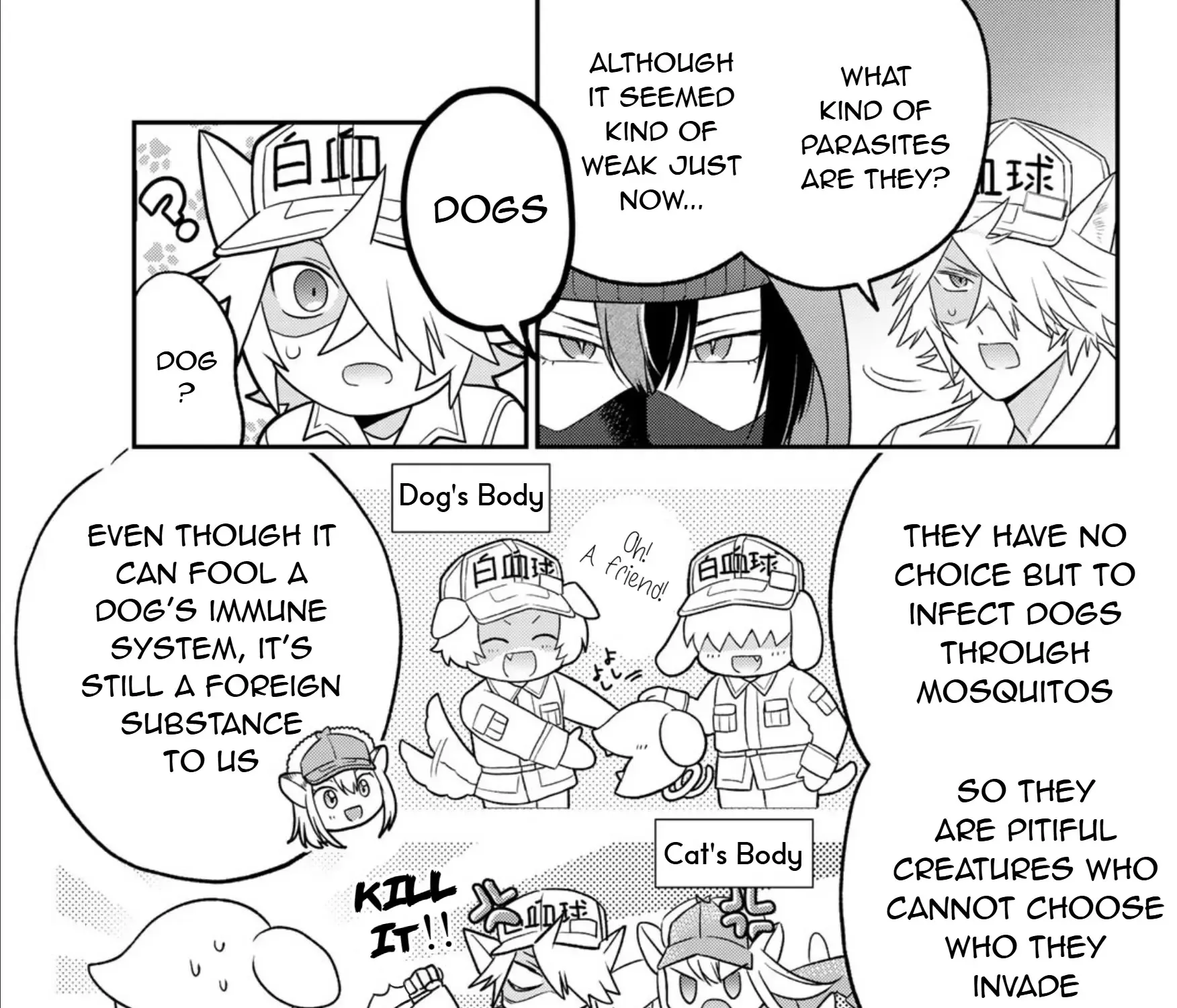 Cells at Work! Cat Chapter 14 page 33 - 