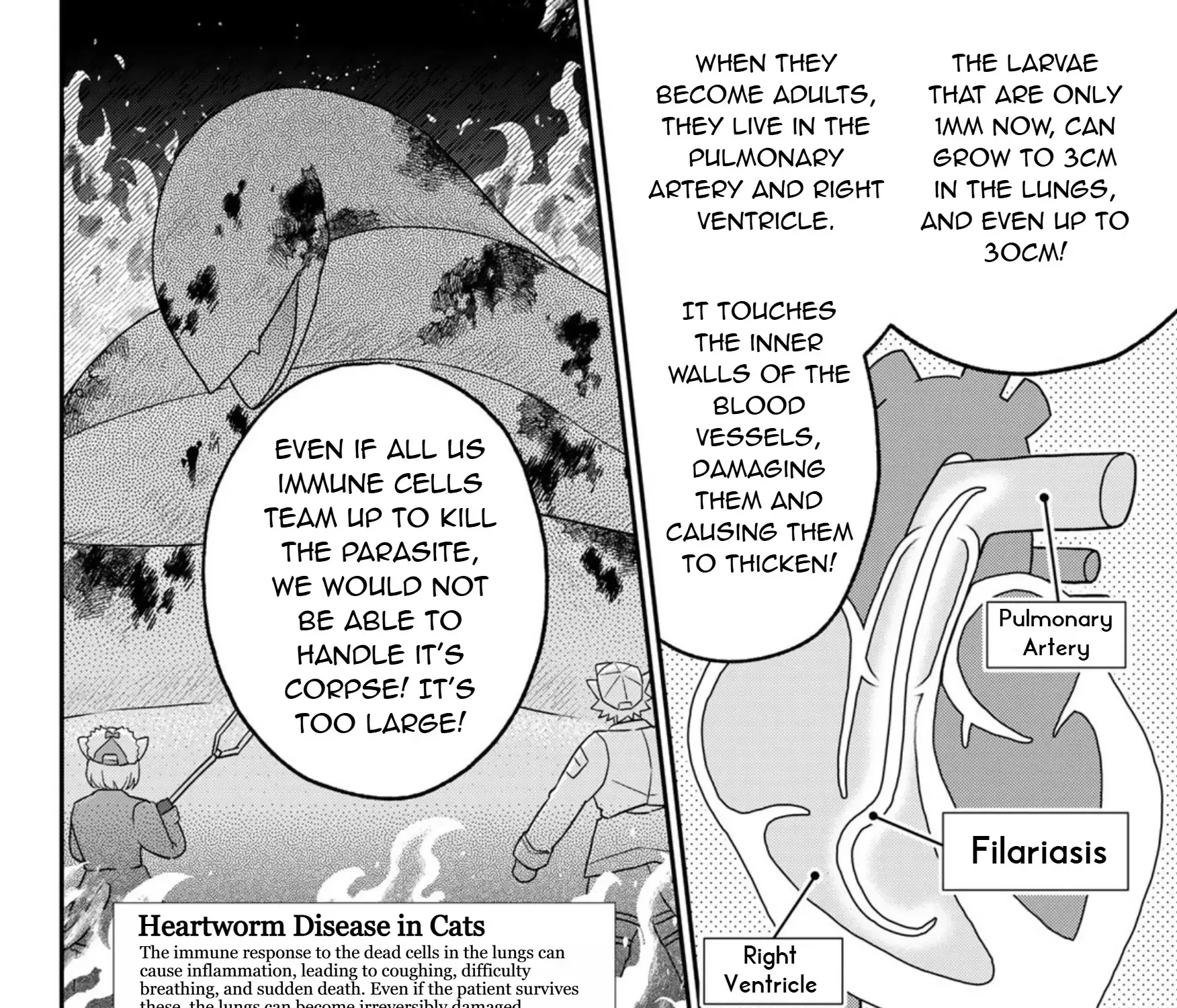 Cells at Work! Cat Chapter 14 page 35 - 