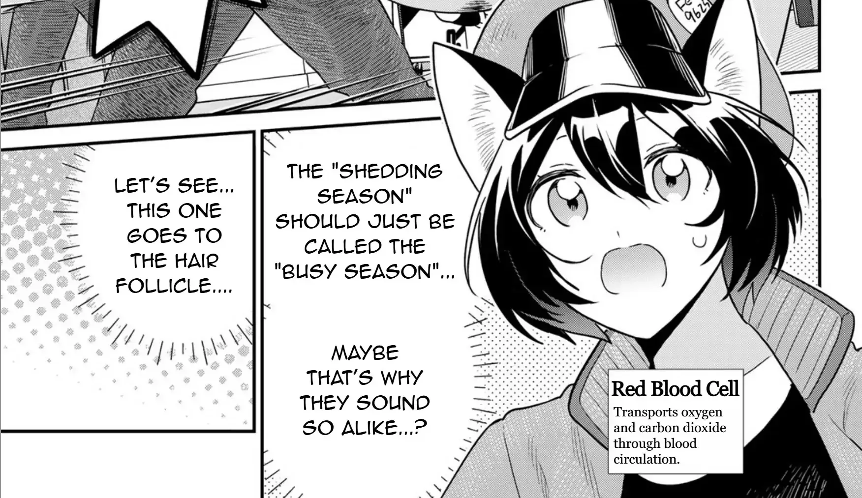 Cells at Work! Cat Chapter 15 page 15 - 