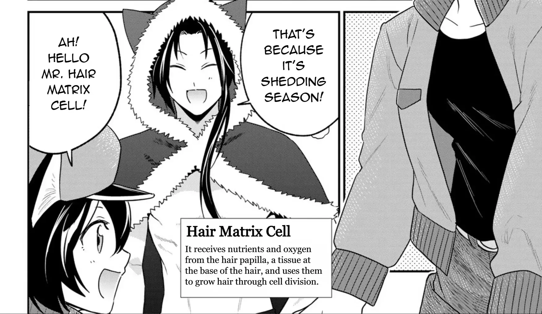 Cells at Work! Cat Chapter 15 page 17 - 
