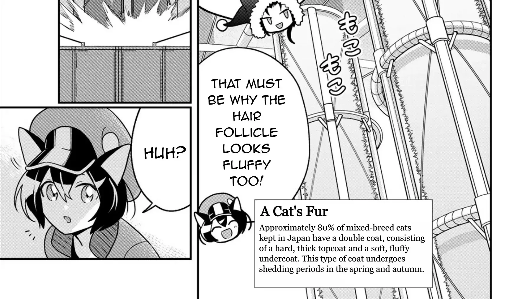 Cells at Work! Cat Chapter 15 page 19 - 