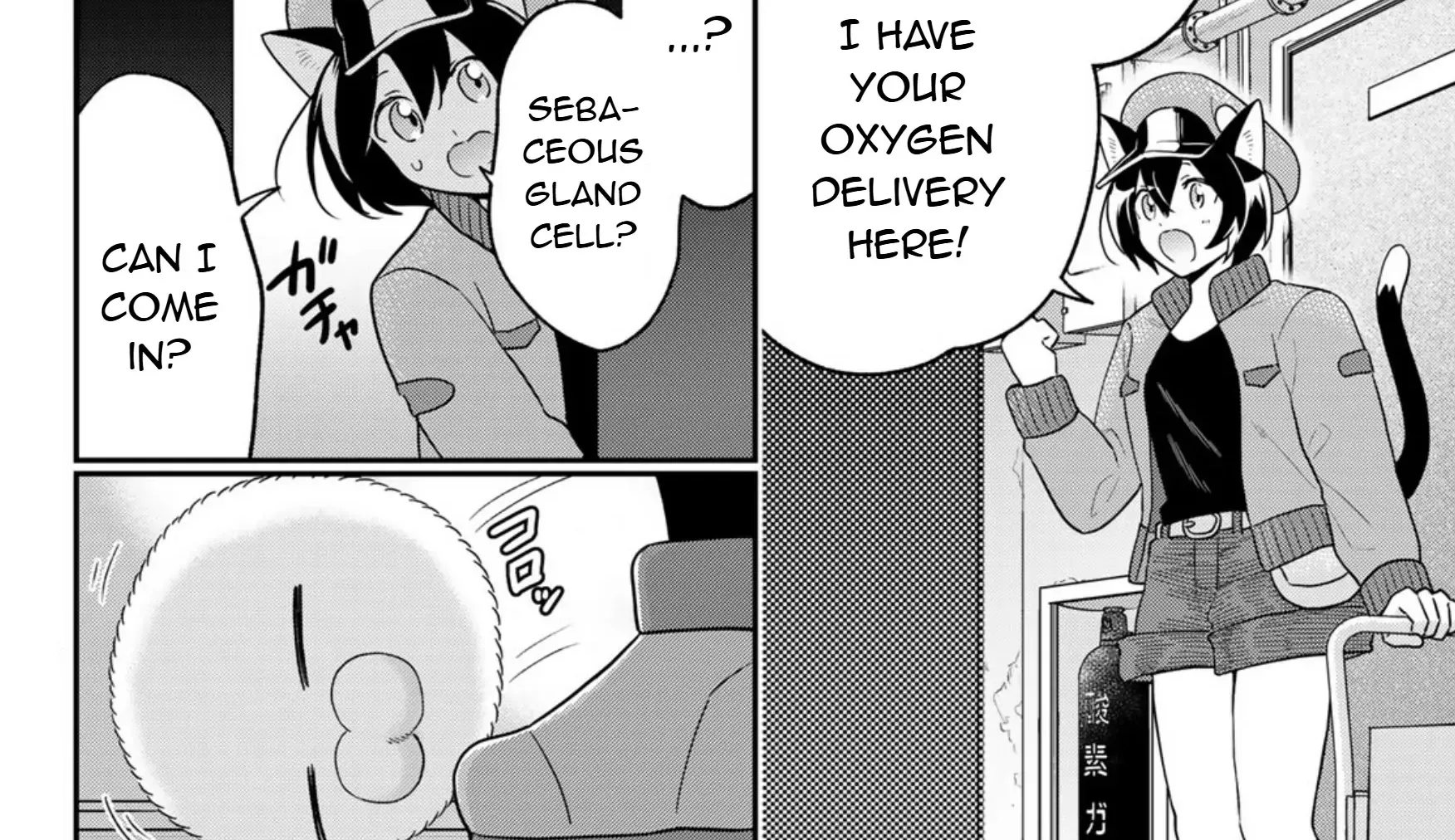 Cells at Work! Cat Chapter 15 page 25 - 